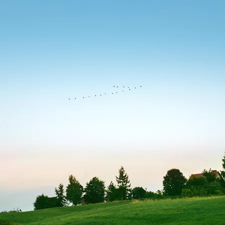 Mila Laka Glamping خيمة فخمة *