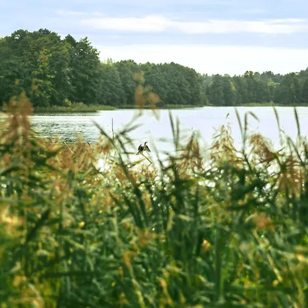 Campo de lujo Mila Laka Glamping Miłki